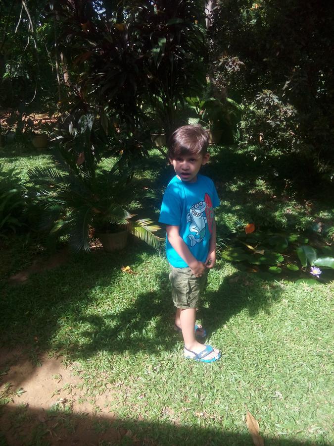 Pelwehera Homestay Dambulla Luaran gambar