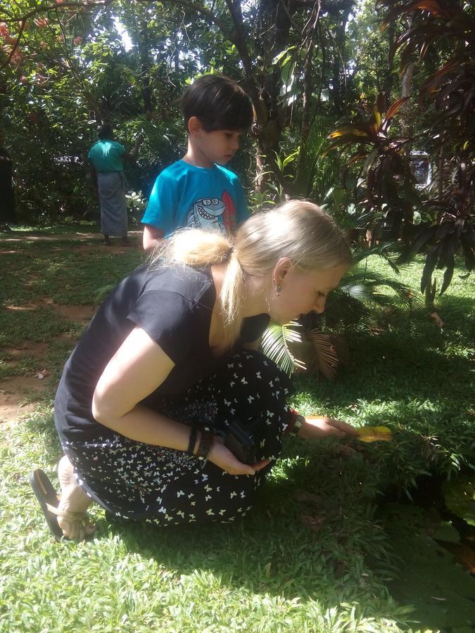 Pelwehera Homestay Dambulla Luaran gambar
